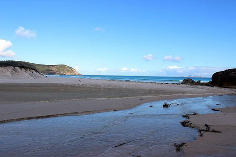 Wilsons Promontory Walking And Sightseeing Tour From Phillip Island - Accommodation NT 3