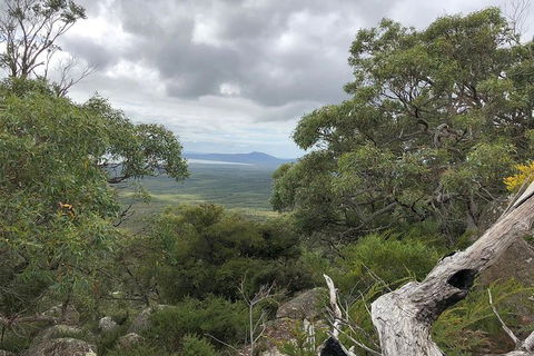 Wilsons Promontory Walking And Sightseeing Tour From Phillip Island - Accommodation NT 13