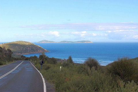 Wilsons Promontory Walking And Sightseeing Tour From Phillip Island - Accommodation NT 2