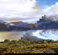 Wilsons Promontory Day Trip from Phillip Island - Accommodation NT