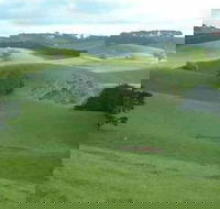 Day Tour of Phillip Island  Surrounding Region - Accommodation NT