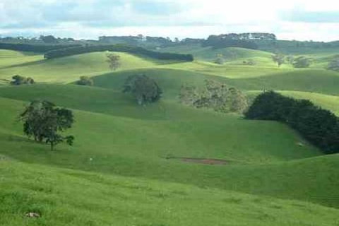 Day Tour Of Phillip Island & Surrounding Region - Accommodation NT 0