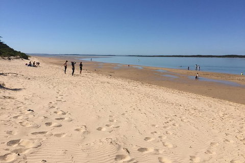 Day Tour Of Phillip Island & Surrounding Region - Accommodation NT 8