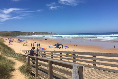 Day Tour Of Phillip Island & Surrounding Region - Accommodation NT 6