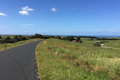 Day Tour Of Phillip Island & Surrounding Region - Accommodation NT 9