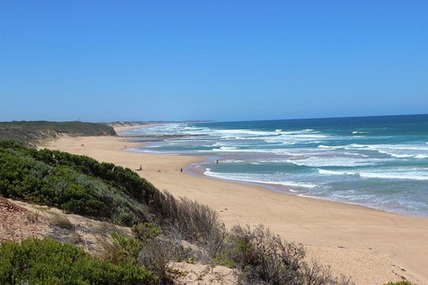 Day Tour Of Phillip Island & Surrounding Region - Accommodation NT 1