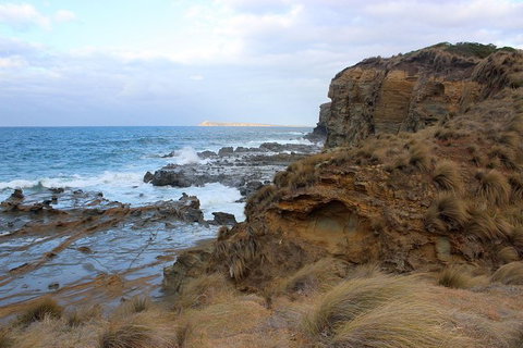 Day Tour Of Phillip Island & Surrounding Region - Accommodation NT 11