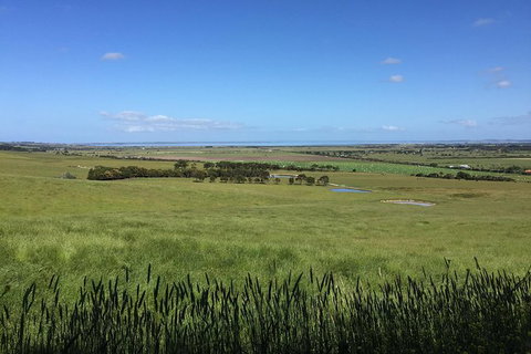 Day Tour Of Phillip Island & Surrounding Region - Accommodation NT 4