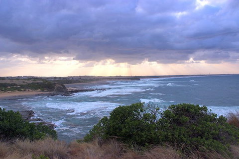 Day Tour Of Phillip Island & Surrounding Region - Accommodation NT 12