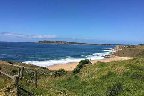 Day Tour Of Phillip Island & Surrounding Region - Accommodation NT 5