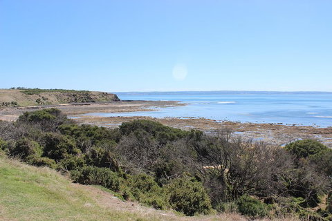 Day Tour Of Phillip Island & Surrounding Region - Accommodation NT 2
