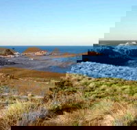 Phillip Island Walking  Bird Watching Tour - Accommodation NT