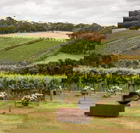 Montalto Vineyard Mornington Peninsula Discovery Wine Tasting and Lunch - Accommodation NT