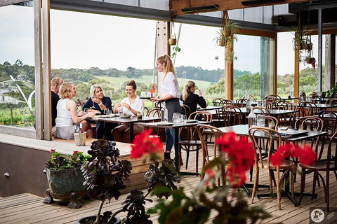 Montalto Vineyard: Mornington Peninsula Discovery Wine Tasting And Lunch - Accommodation NT 4