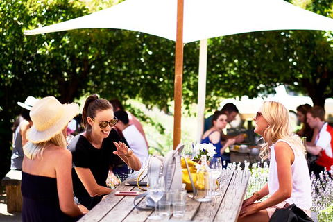 Montalto Vineyard: Mornington Peninsula Discovery Wine Tasting And Lunch - Accommodation NT 3