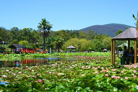Blue Lotus Water Garden - Admission Ticket - Accommodation NT 0