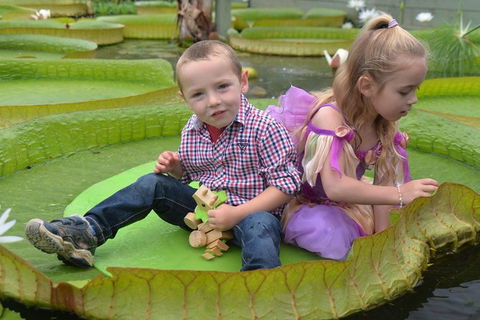 Blue Lotus Water Garden - Admission Ticket - Accommodation NT 1