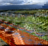 Yarra Valley Local Produce and Wine Tasting Tour - Accommodation NT