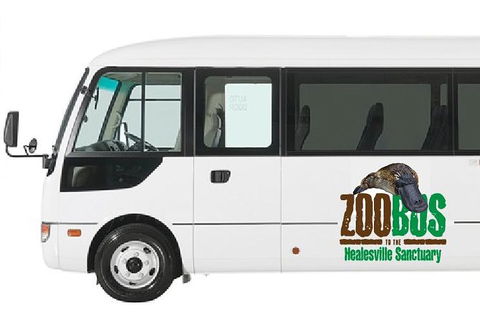 HEALESVILLE SANCTUARY ZOOBUS - MELBOURNE CITY RETURN - Accommodation NT 1