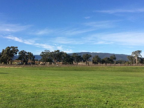 Yarra Valley Wineries And Puffing Billy Steam Train Tour From Melbourne - Accommodation NT 17