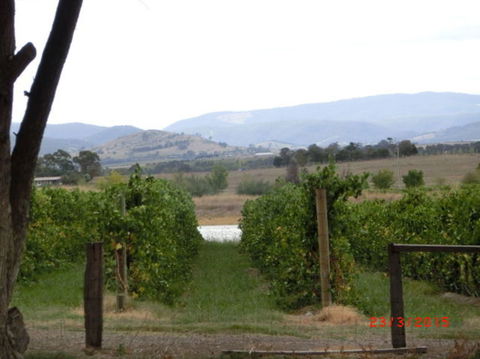 Yarra Valley Wineries And Puffing Billy Steam Train Tour From Melbourne - Accommodation NT 25