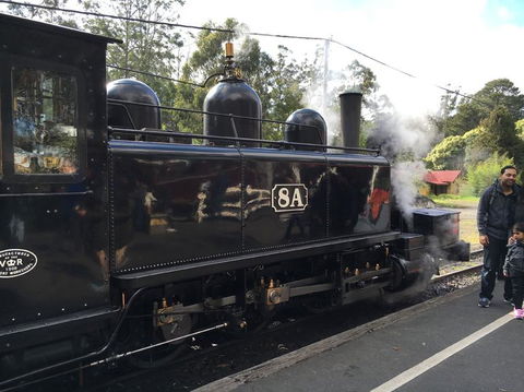 Yarra Valley Wineries And Puffing Billy Steam Train Tour From Melbourne - Accommodation NT 13