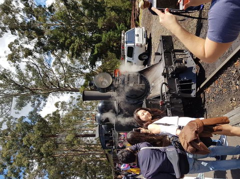 Yarra Valley Wineries And Puffing Billy Steam Train Tour From Melbourne - Accommodation NT 5