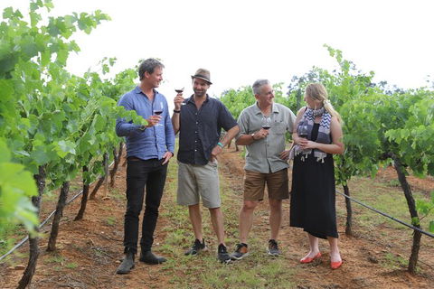Yarra Valley Wineries And Puffing Billy Steam Train Tour From Melbourne - Accommodation NT 29