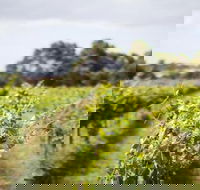 Phillip Island Wine Experience Tour - Accommodation NT