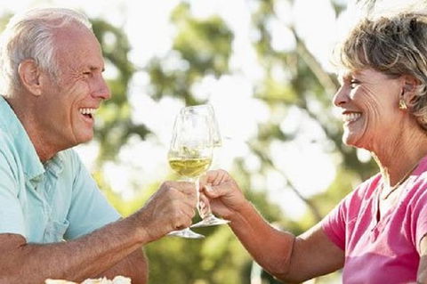 Phillip Island Wine Experience Tour - Accommodation NT 1
