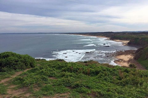 Half Day Phillip Island Woolamai Walking Tour - Accommodation NT 0