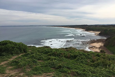 Half Day Phillip Island Woolamai Walking Tour - Accommodation NT 10