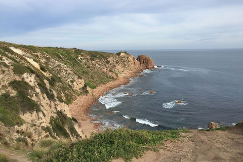 Half Day Phillip Island Woolamai Walking Tour - Accommodation NT 2