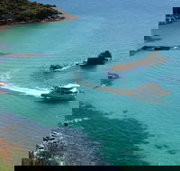 Cape Woolamai Sightseeing Cruise from San Remo - Accommodation NT