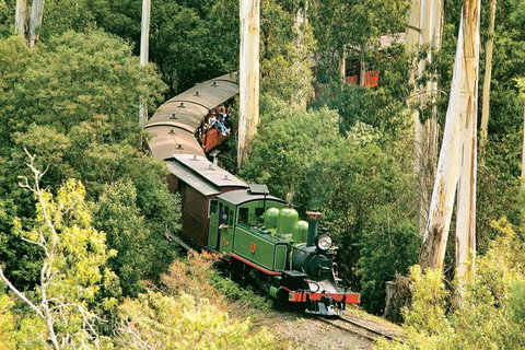 Dandenong Ranges Tour By Puffing Billy Steam Train - Accommodation NT 1