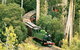 Dandenong Ranges Tour By Puffing Billy Steam Train - thumb 3