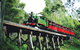 Dandenong Ranges Tour By Puffing Billy Steam Train - thumb 2