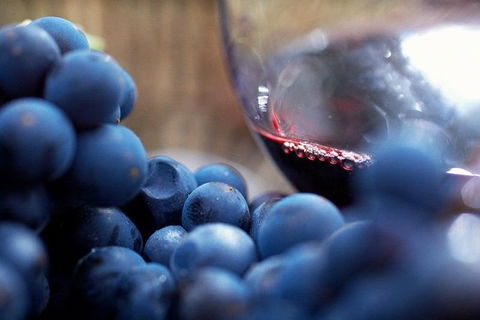 Small Group 6 Guests: Ultimate Mornington Peninsula Food And Wine - Accommodation NT 2