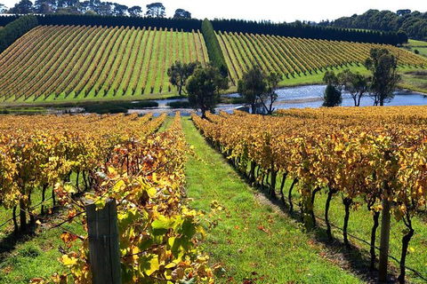 Small Group 6 Guests: Ultimate Mornington Peninsula Food And Wine - Accommodation NT 3