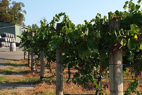 Wine Tasting Tour In The Yarra Valley - Accommodation NT 0