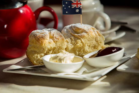 Half Day Puffing Billy Train Journey From Melbourne - Accommodation NT 5