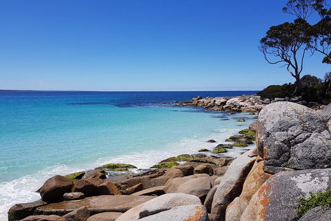 Tasmania 6 Day \'Tour In Circle\' - Accommodation NT 4