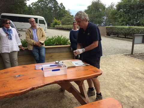 Bruny Island All Inclusive Gourmet Day Trip From Hobart - Accommodation NT 17