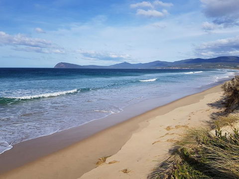 Bruny Island All Inclusive Gourmet Day Trip From Hobart - Accommodation NT 6