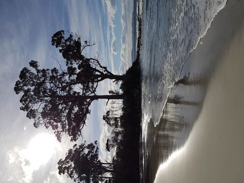Bruny Island All Inclusive Gourmet Day Trip From Hobart - Accommodation NT 5
