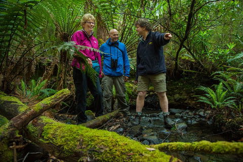 Bruny Island All Inclusive Gourmet Day Trip From Hobart - Accommodation NT 28