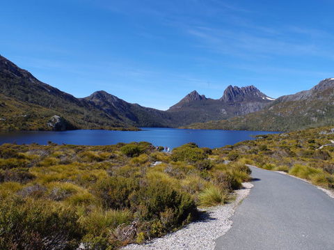 5-Day Best Of Tasmania Tour From Hobart - Accommodation NT 5