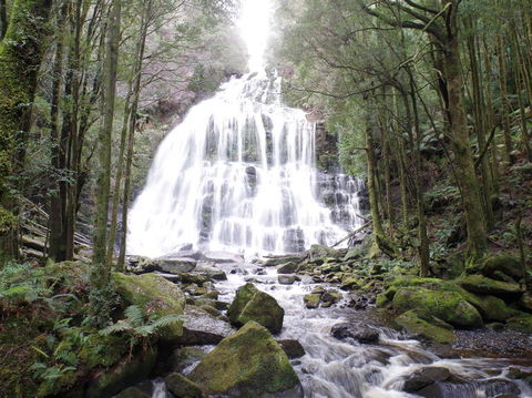 5-Day Best Of Tasmania Tour From Hobart - Accommodation NT 2