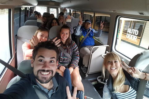 5-Day Best Of Tasmania Tour From Hobart - Accommodation NT 14