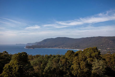 Port Arthur And Tassie Devils Active Day Tour From Hobart - Accommodation NT 4